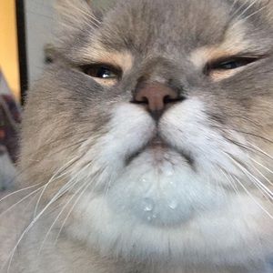 Meet your Posher, Maritza